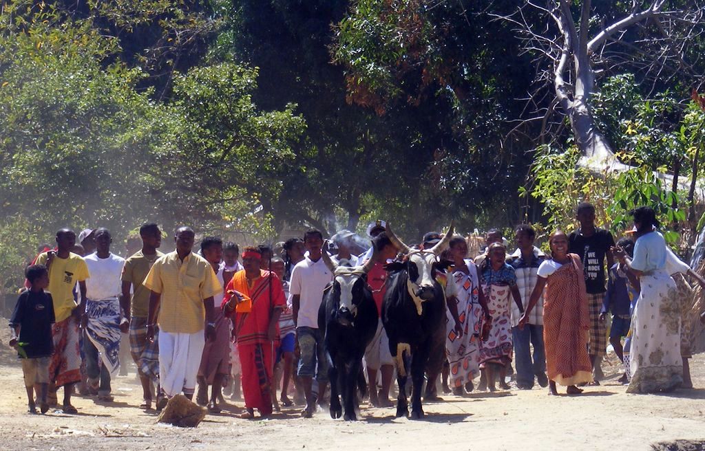 Fanompoambe de MAJUNGA