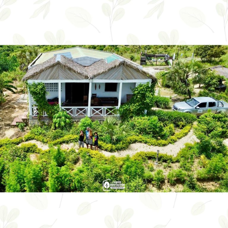 LA FORÊT RETROUVÉE