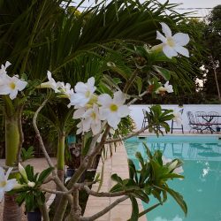 Edited in Tezza with: Lush, Exposure, Contrast, Saturation, Sharpen, Vignette, & Crop