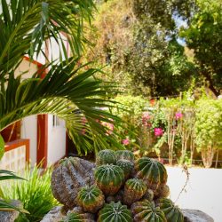 Edited in Tezza with: Lush, Exposure, Contrast, Saturation, Sharpen, Crop, & Vignette