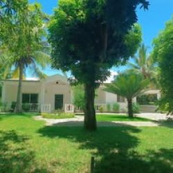 AVENTURE DECOUVERTE (7)