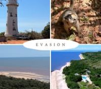 LA FORÊT RETROUVÉE (3)