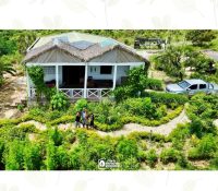 LA FORÊT RETROUVÉE (7)