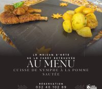 LA FORÊT RETROUVÉE (8)