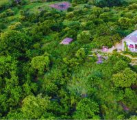 LA FORÊT RETROUVÉE