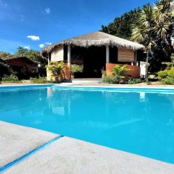 LE JARDIN DES DELICES (2)