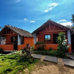 LE JARDIN DES DELICES (5)