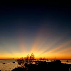 My Sweet Residency (4)