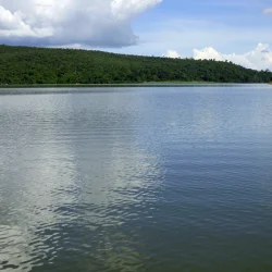 PN Ankarafantsika (12)