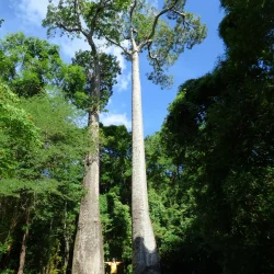 PN Ankarafantsika (3)