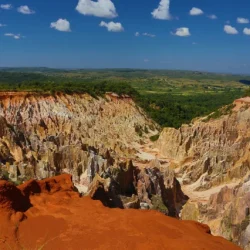 PN ankarafantsika (120)