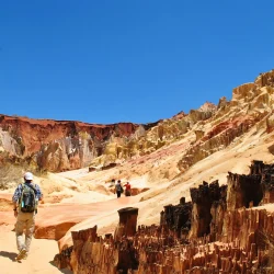 PN ankarafantsika (124)_New1