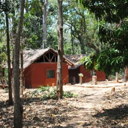 PN ankarafantsika (128)