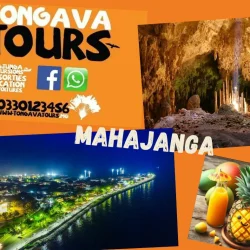 TONGAVA TOURS (3)